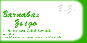 barnabas zsigo business card