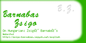 barnabas zsigo business card